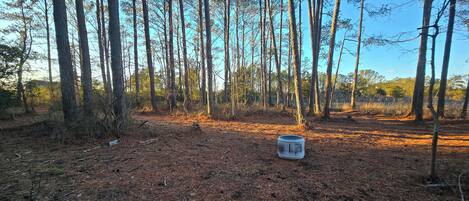 Área da propriedade