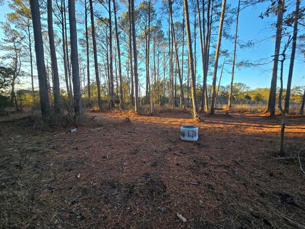 A forest clearing with tall trees and a metal container on the ground.