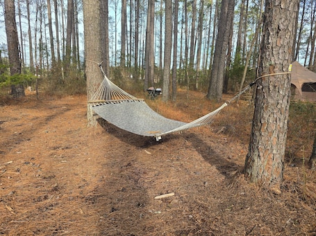Áreas de la propiedad. Campsite #3 At Blanchard Farm
