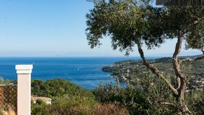 Ein Pool mit Blick auf das Meer und einem Baum im Vordergrund.
