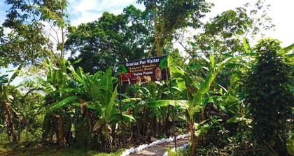 The perfect place for a wonderful vacation with the family.