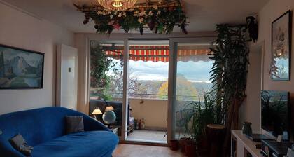 Schönes 4 Zi Appartment, 5. OG - superAusblick, Balkon, nahe Frankfurt, 5 Pers.