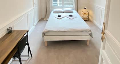 L'Appartement Privilège - 4 bedrooms - Coeur d'Angers, Spacious and elegant