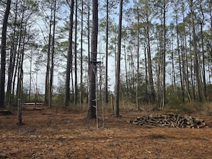 Miscellaneous - Campsite #4 At Blanchard Farm (Diggs)