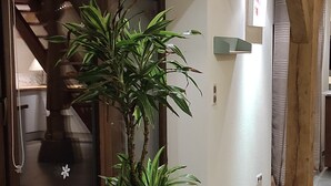 Un couloir avec une plante en pot, des poutres en bois, une porte en verre et un escalier.