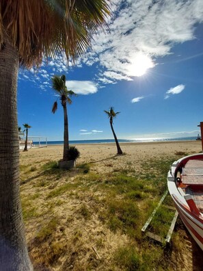 Une plage avec des palmiers et un bateau.
