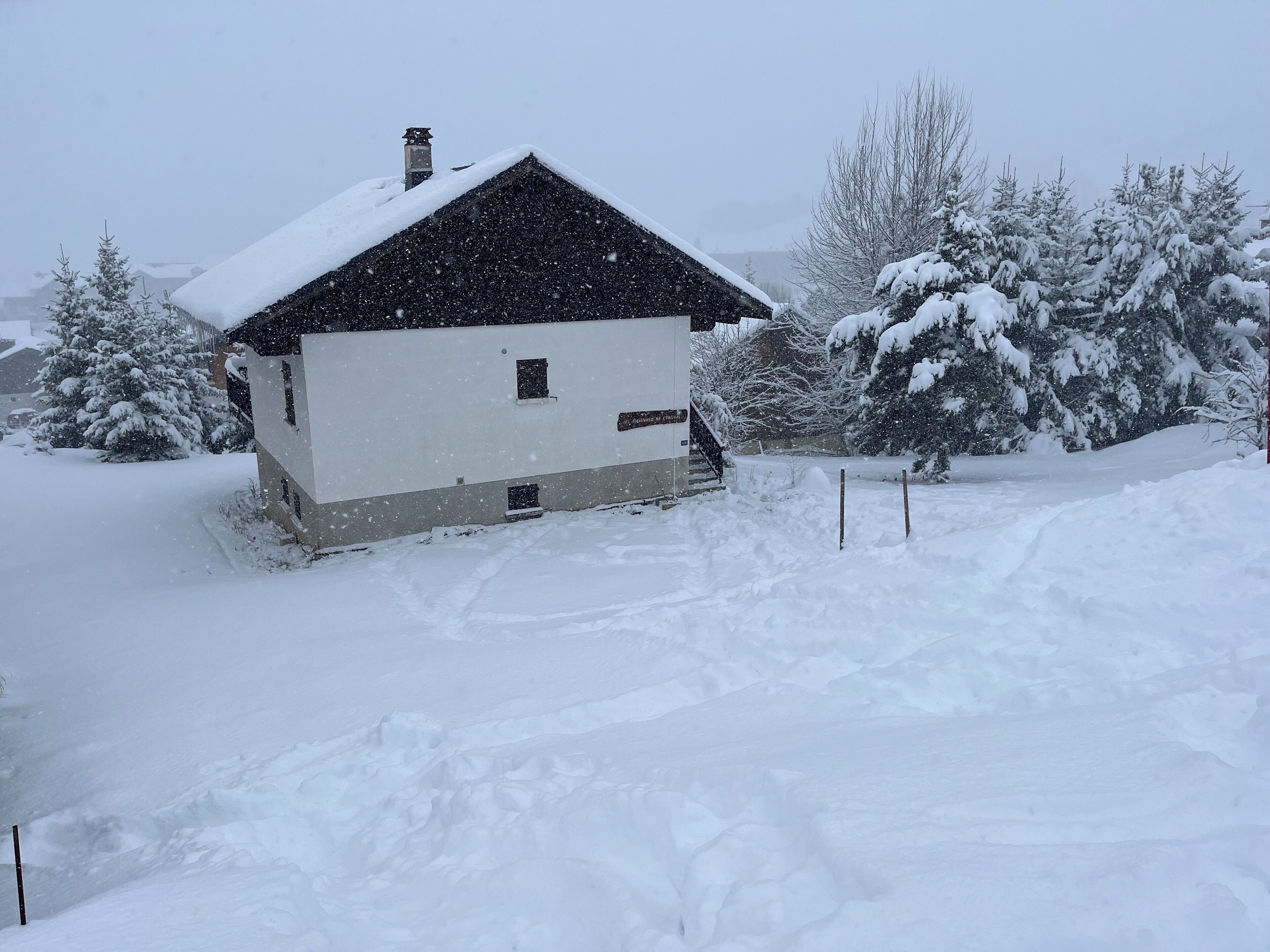 A snow-covered cabin with a sloped roof, surrounded by snow-laden trees and a snowy landscape.