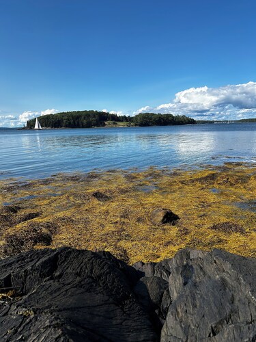 Tranquil farmhouse with WiFi in charming Cape Rosier