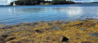 Tranquil farmhouse with WiFi in charming Cape Rosier