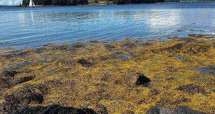 Tranquil farmhouse with WiFi in charming Cape Rosier