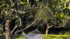 A hammock hanging from a tree in a grassy area. - Tranquil farmhouse with WiFi in charming Cape Rosier (Brooksville)