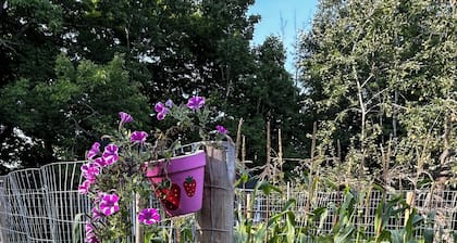 Tranquil farmhouse with WiFi in charming Cape Rosier