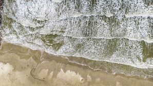 Une plage où les vagues se brisent sur le rivage, une plage de sable, et quelques objets épars.