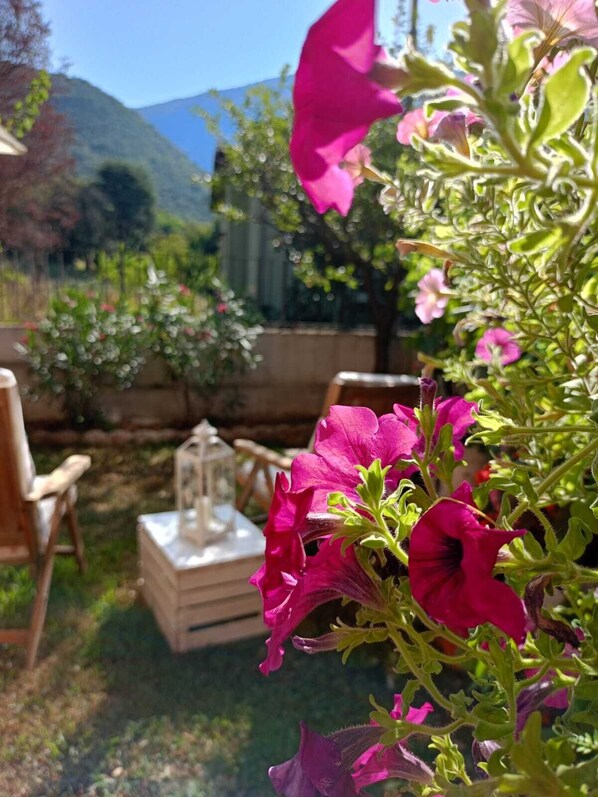 A garden with vibrant pink flowers, a wooden chair, and a lantern.