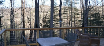 Locust Flats - PET-FRIENDLY MOUNTAIN Cabin = Decks-Views-Firepit