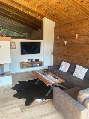 智能电视、壁炉