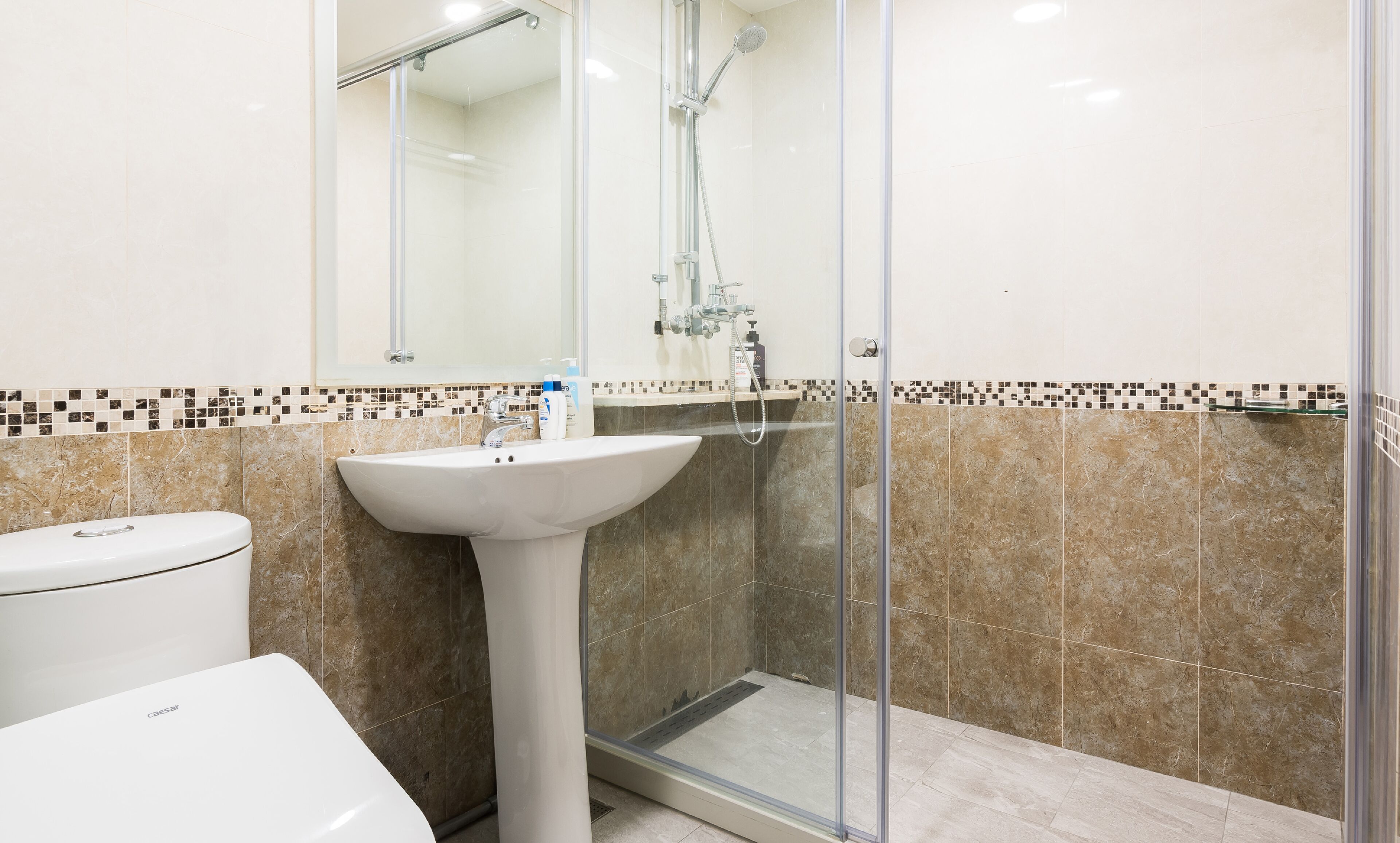 Shower, hair dryer, bidet, towels