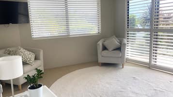 Una Smart TV, una chimenea, libros