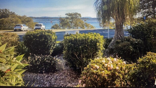 A coastal view with parked cars, lush greenery, and a clear blue sky. - The Lakeside Garden (Forster)