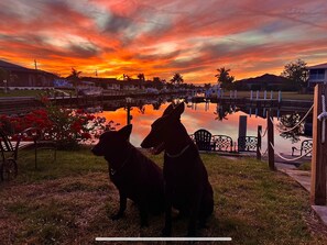 Enceinte de l’hébergement