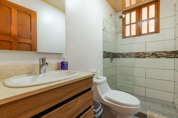 Shower, towels, soap, toilet paper