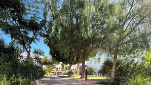 A pathway leading through a garden with steps and trees. - Cosy and chic one-bedroom apt with 3 beds - Taghazout Bay (Sidi Bouzid)