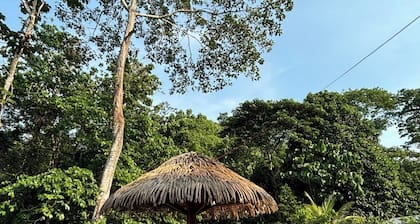 Family vacation home with a view of the forest and access to a small river.