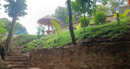 Family vacation home with a view of the forest and access to a small river.