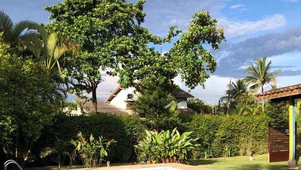 A swimming pool with a tiled edge, surrounded by lush greenery and a clear sky. - 4 Elements Inn Guarujá (Guarujá)