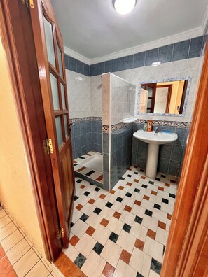 Shower, bidet, towels, soap