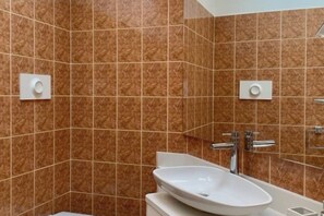 Shower, hair dryer, bidet, towels