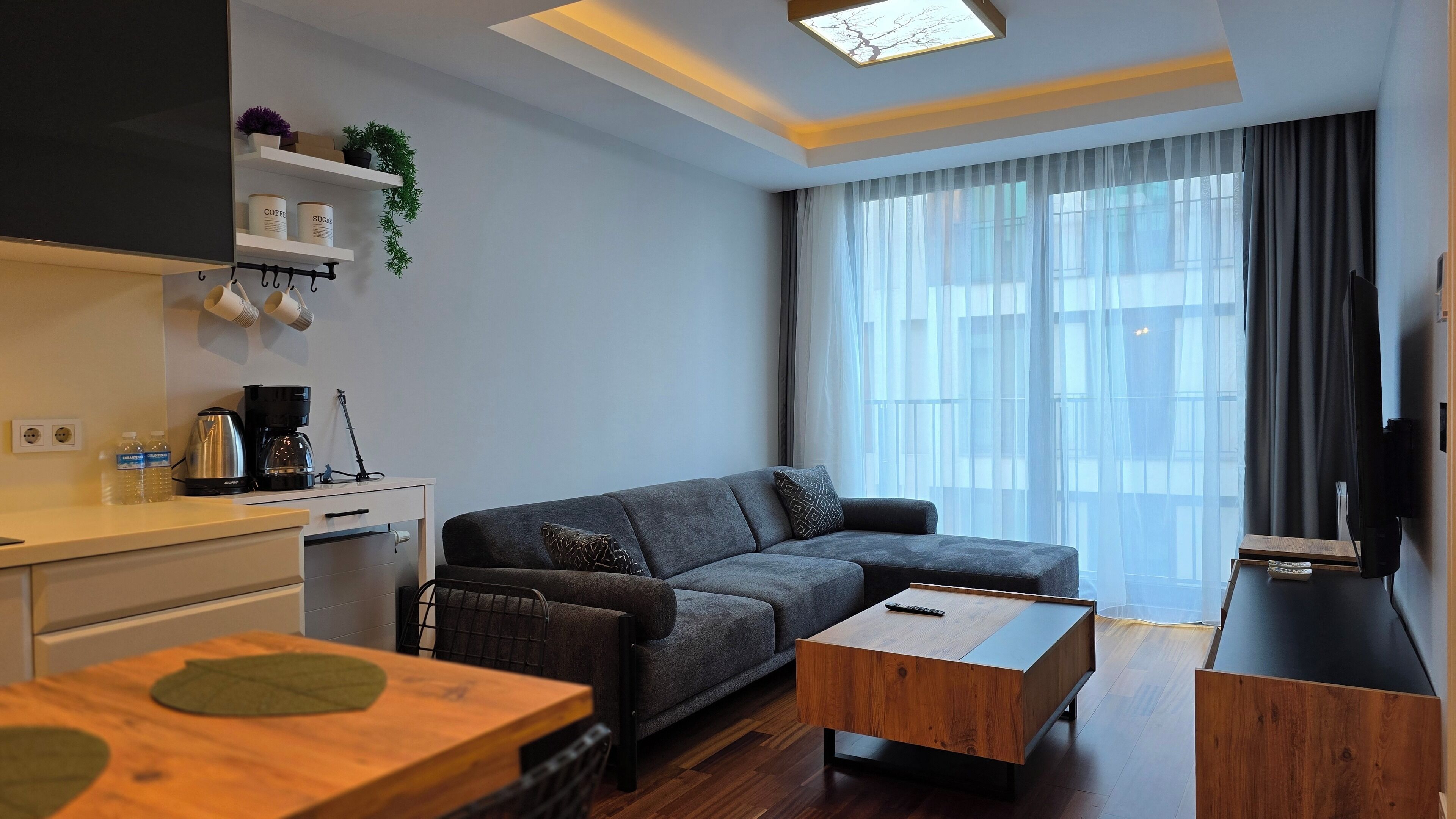 Ein modernes Wohnzimmer mit grauem Sofa, einem Holztisch und einem TV-Möbel. Es gibt eine Küchenzeile mit einer Kaffeemaschine und einem Regal mit Pflanzen und Gefäßen.