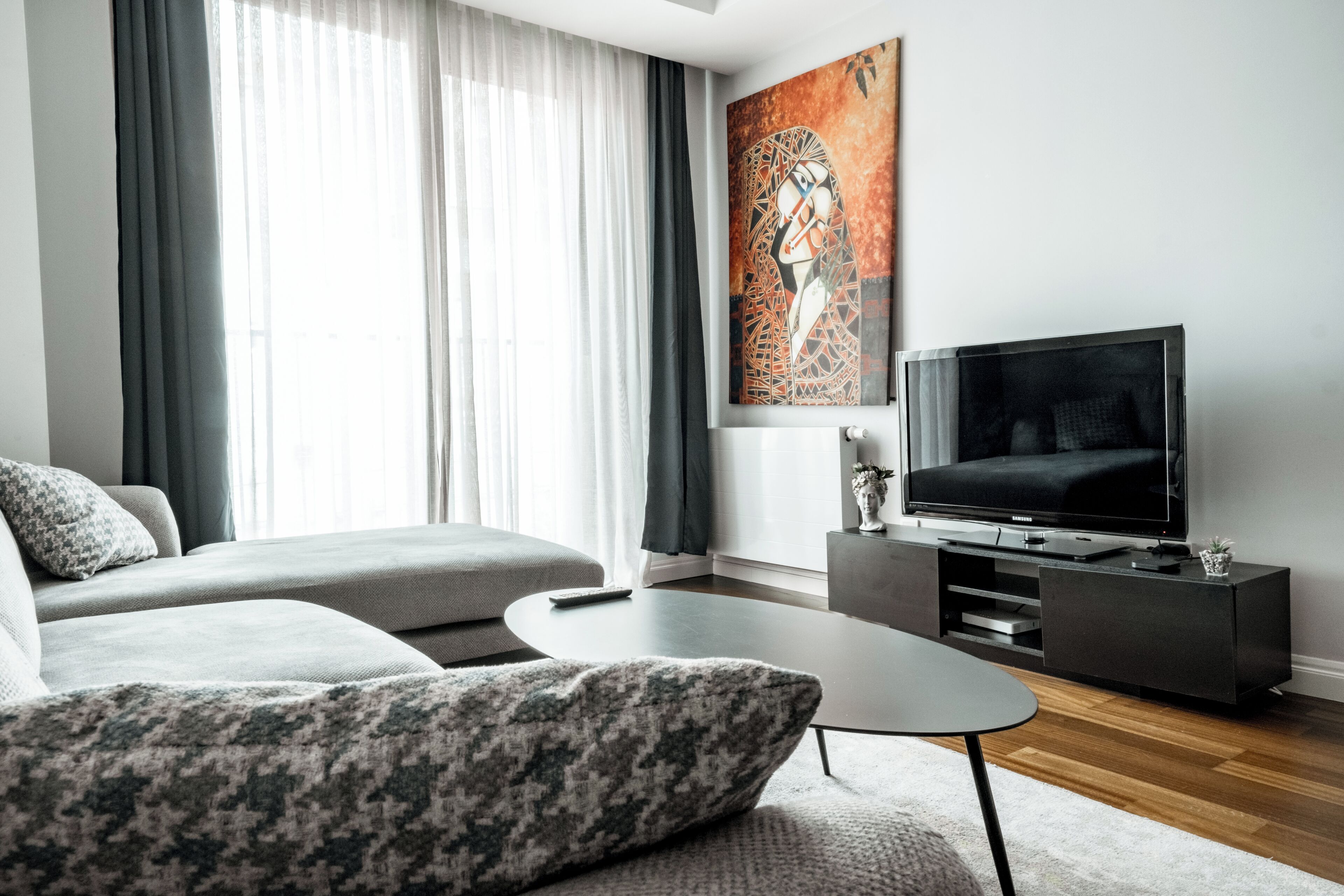Un salon moderne avec un canapé, une table basse, un téléviseur posé sur un meuble et un tableau accroché au mur.