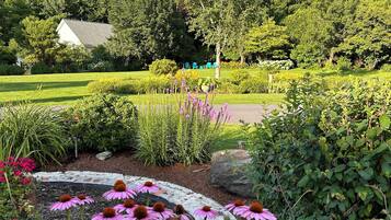 A well-maintained garden with a variety of flowers, a lawn, and a house in the background.