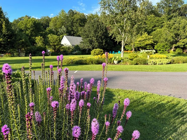 Una calle residencial con una casa, abundante vegetación y flores moradas al frente.