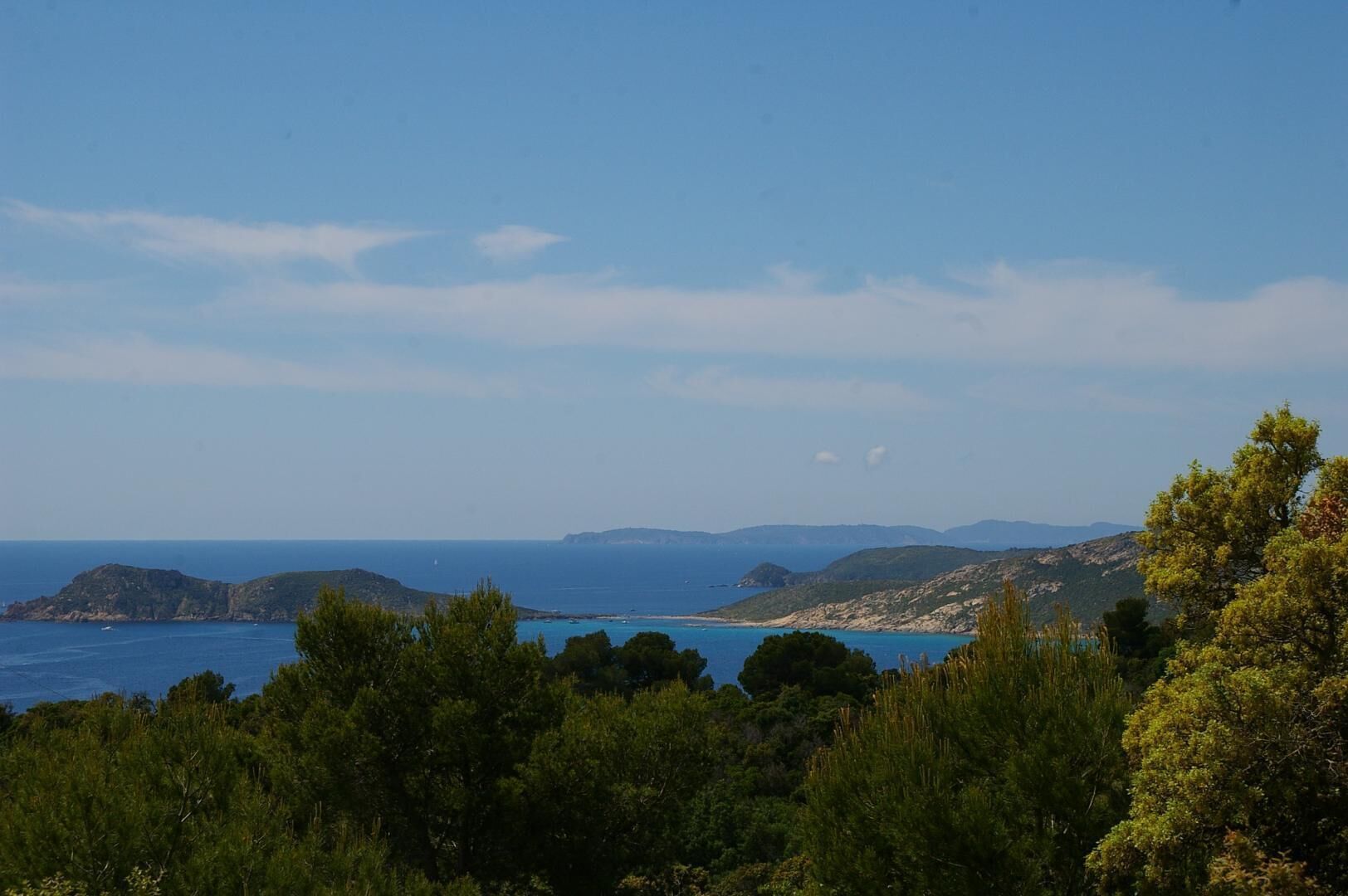 Eine Küstenlandschaft mit dichter Vegetation im Vordergrund und freiem Blick auf das Meer und die fernen Hügel.