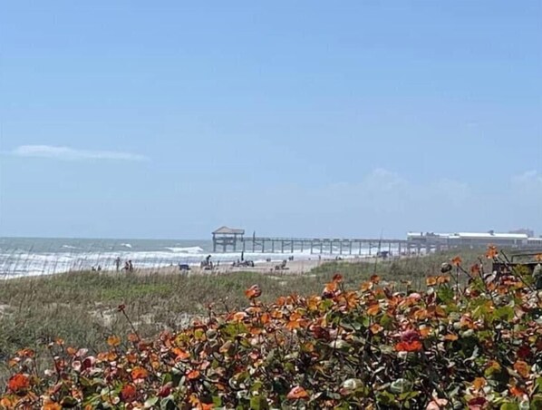 Chaises longues, serviettes de plage