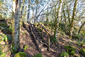 Terrain de l’hébergement 
