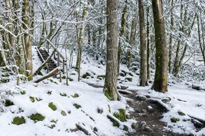 A snow-covered forest path with a wooden staircase leading up.
