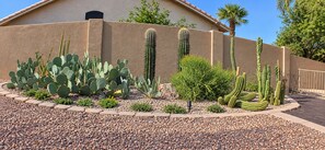 A desert garden with various cacti and succulents, a paved walkway, and a building with a stucco exterior in the background. - 3-bedroom Lake front villa in Casa Grande. with heated pool & spa. Kayak & bikes (Casa Grande)