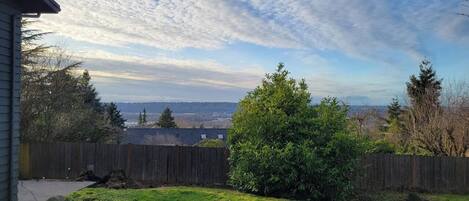 A backyard with a wooden fence, a grassy lawn, and a view of a cityscape in the distance.