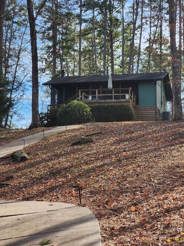Een chalet met een terras en een overdekte veranda, omgeven door bomen en een bedekte grond met bladeren.