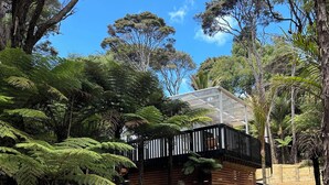 Un chemin menant à un bâtiment doté d’un toit de verre, entouré d’une végétation luxuriante et d’arbres.