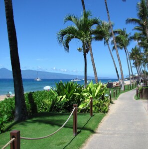 Plage à proximité