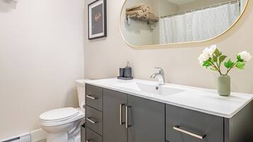 Shower, towels, shampoo, toilet paper