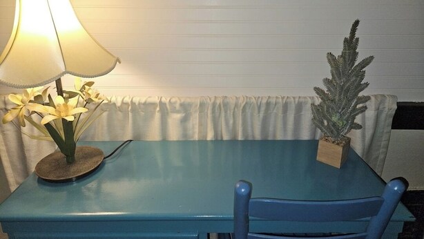 A blue table with a lamp and a potted plant. - Charming 2-bedroom, cozy bungalow with sunroom in fabulous St. Louis with WiFi (St. Louis)