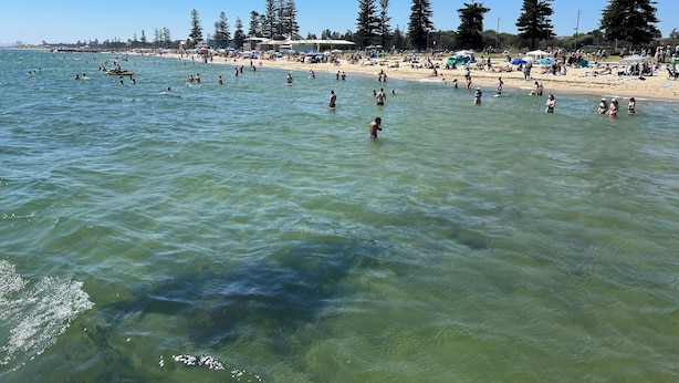 A beach scene with clear water, people swimming and sunbathing, and trees in the background. - Need a dose of Vitamin Sea? (Elwood)