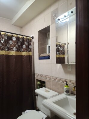 Hair dryer, bidet, towels, toilet paper