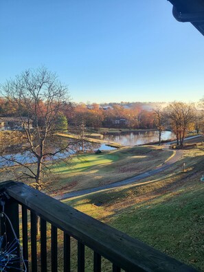 Property grounds - Cozy 1-bedroom condo in enchanting Branson with WiFi, fitness room and pools (Branson)