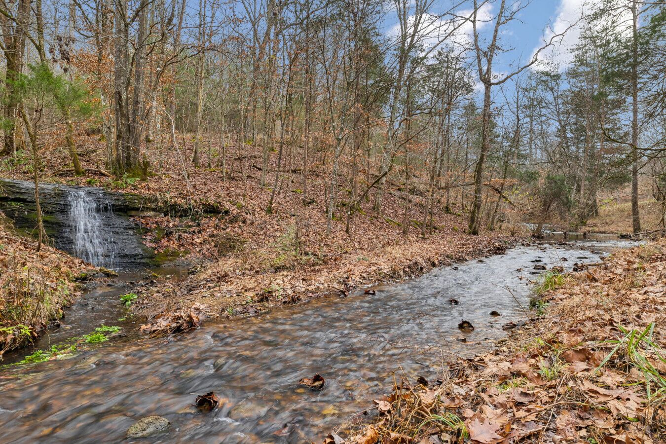 Een bebost gebied met een kleine waterval en een beek.